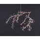 AM1330 BLOSSOM